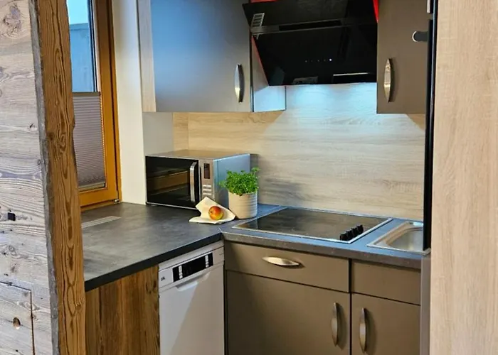 Appartement Franzls *